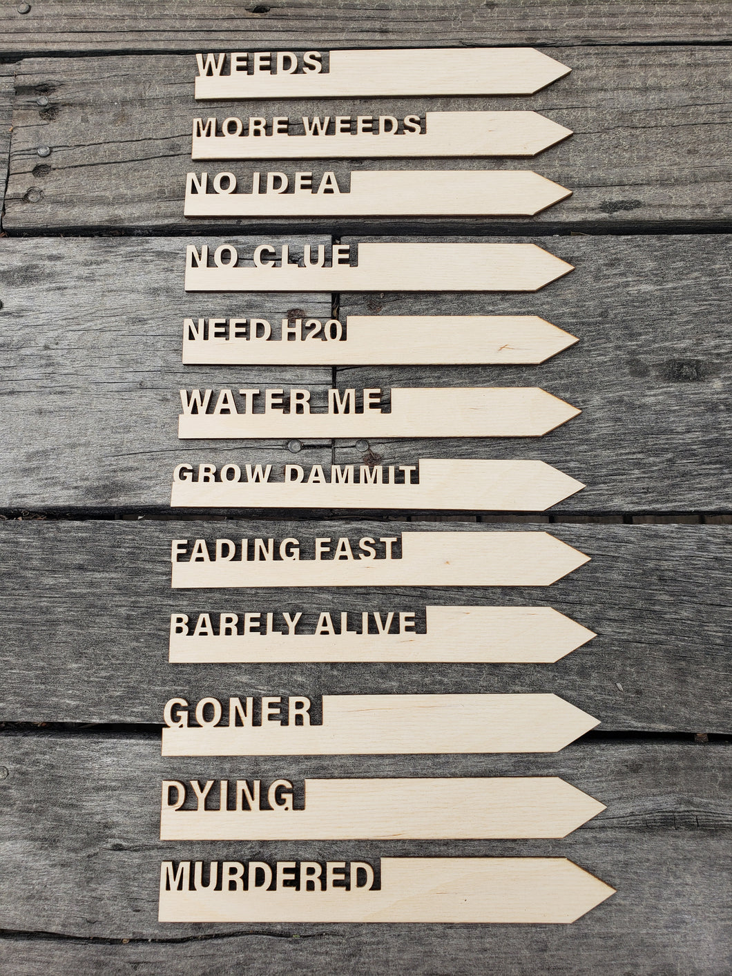 12 Pack of FUNNY Garden Markers